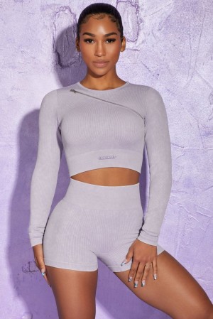 Oh Polly Agile Long Sleeve High Neck Zip Crop Top Bo+Tee Tops Lilac | XKCG-75102