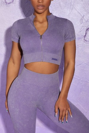 Oh Polly Chase Short Sleeve Zip Crop Top Bo+Tee Tops Violet | HJSM-84103