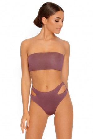 Oh Polly Read My Hips High Waist Bikini Bottoms Bikini Bottoms Plum | GNUJ-31028