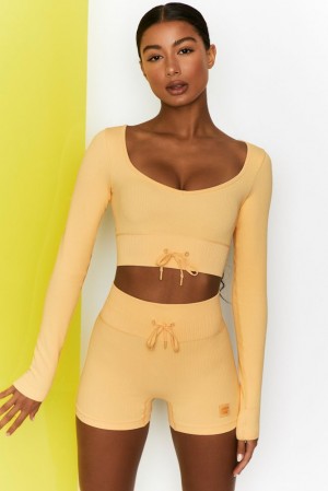 Oh Polly Time Check Ribbed Long Sleeve Crop Top Bo+Tee Tops Yellow | GKBW-87531