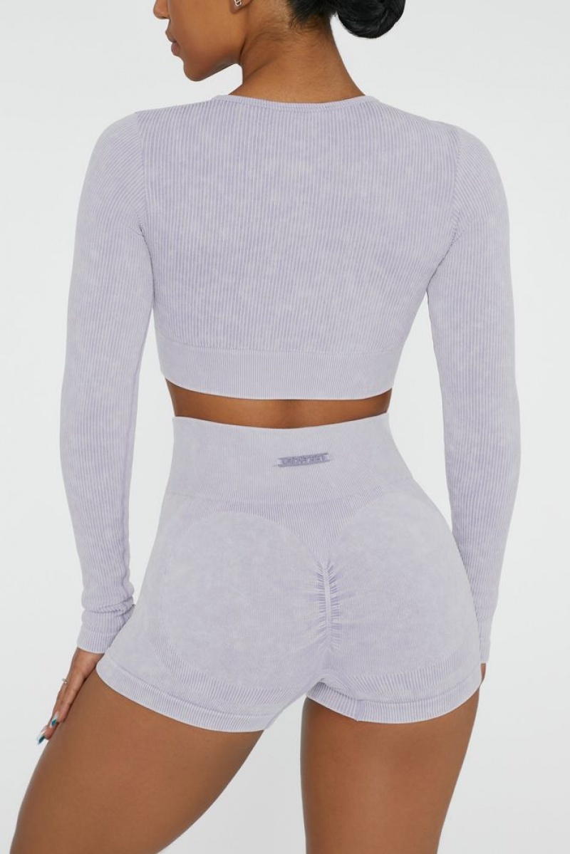 Oh Polly Agile Long Sleeve High Neck Zip Crop Top Bo+Tee Tops Lilac | XKCG-75102